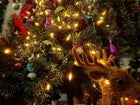 50 LED Outdoor Christmas String Lights – Battery Operated Decorative Fairy Lights