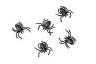 10 Pack Black Plastic Spider Decorations – 3 × 3 cm Halloween & Carnival Party Decor